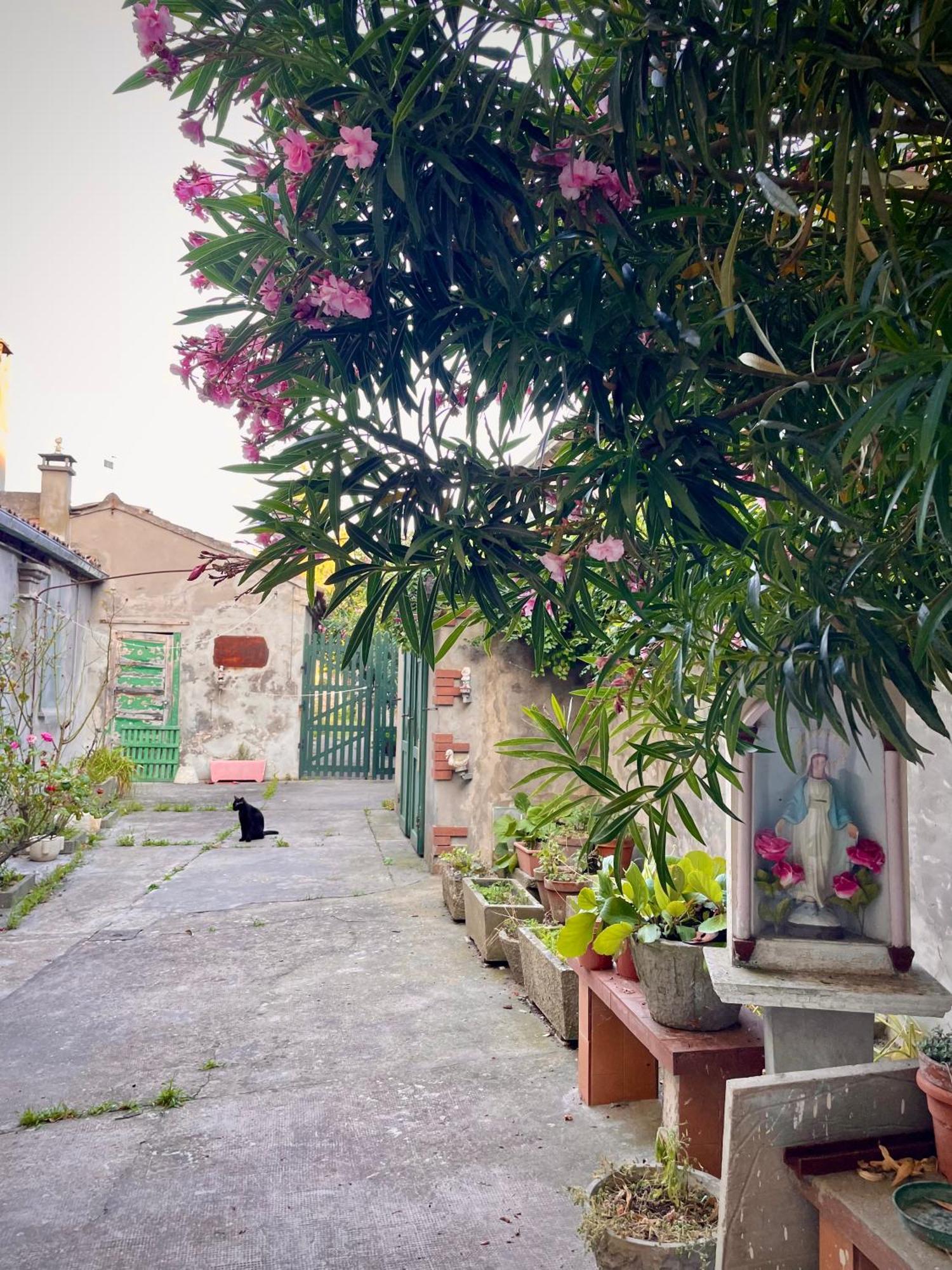 L'Encanto De Luna -Una Casa Autentica Comacchiese كوماكيو المظهر الخارجي الصورة